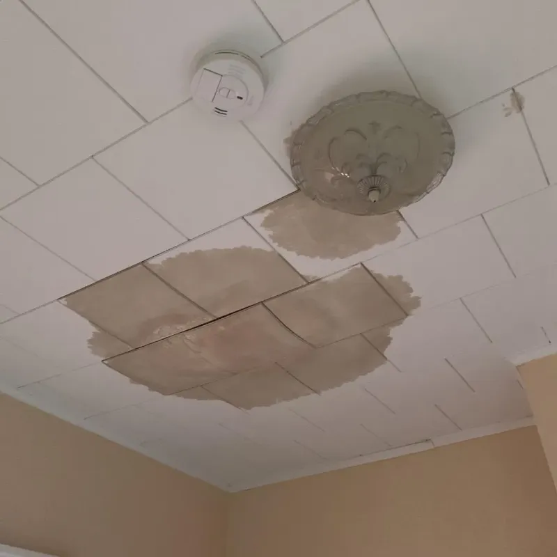 Ceiling Water Damage Repair in Pearlington, MS