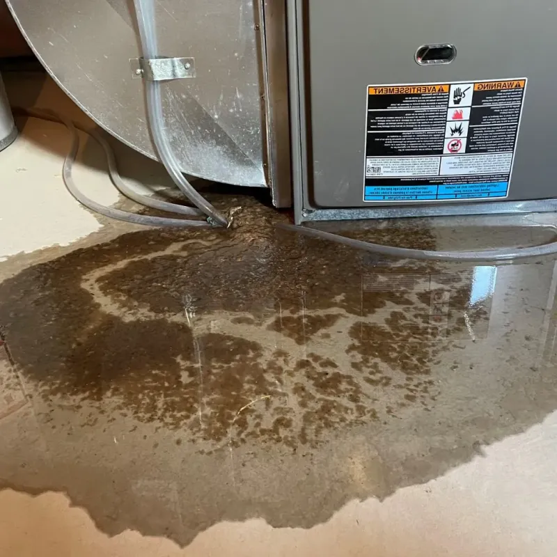 Pipe Burst and Leak Restoration in Pearlington, MS