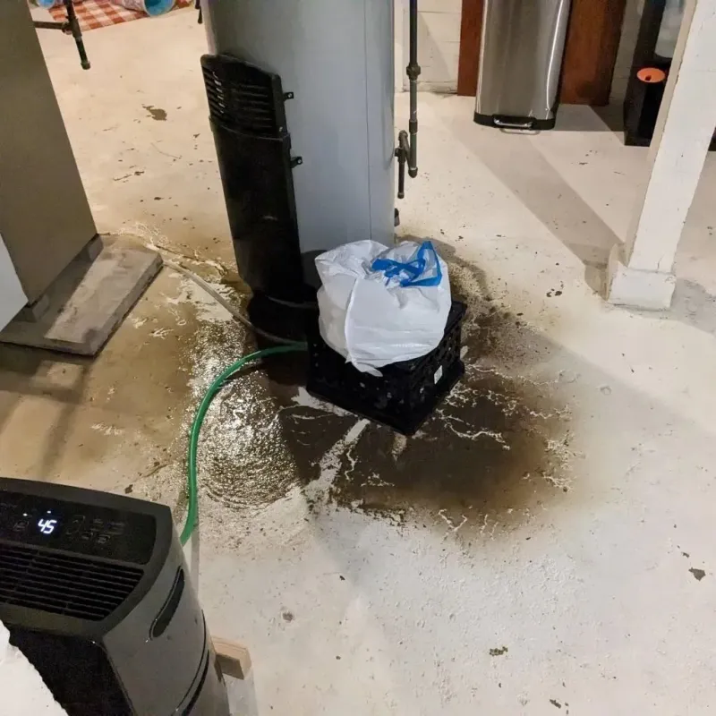 Sewage Backup Cleanup Service in Pearlington, MS